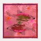 POM Amsterdam Shawls Pink / OS ÉCHARPE - Fantastique Rose
